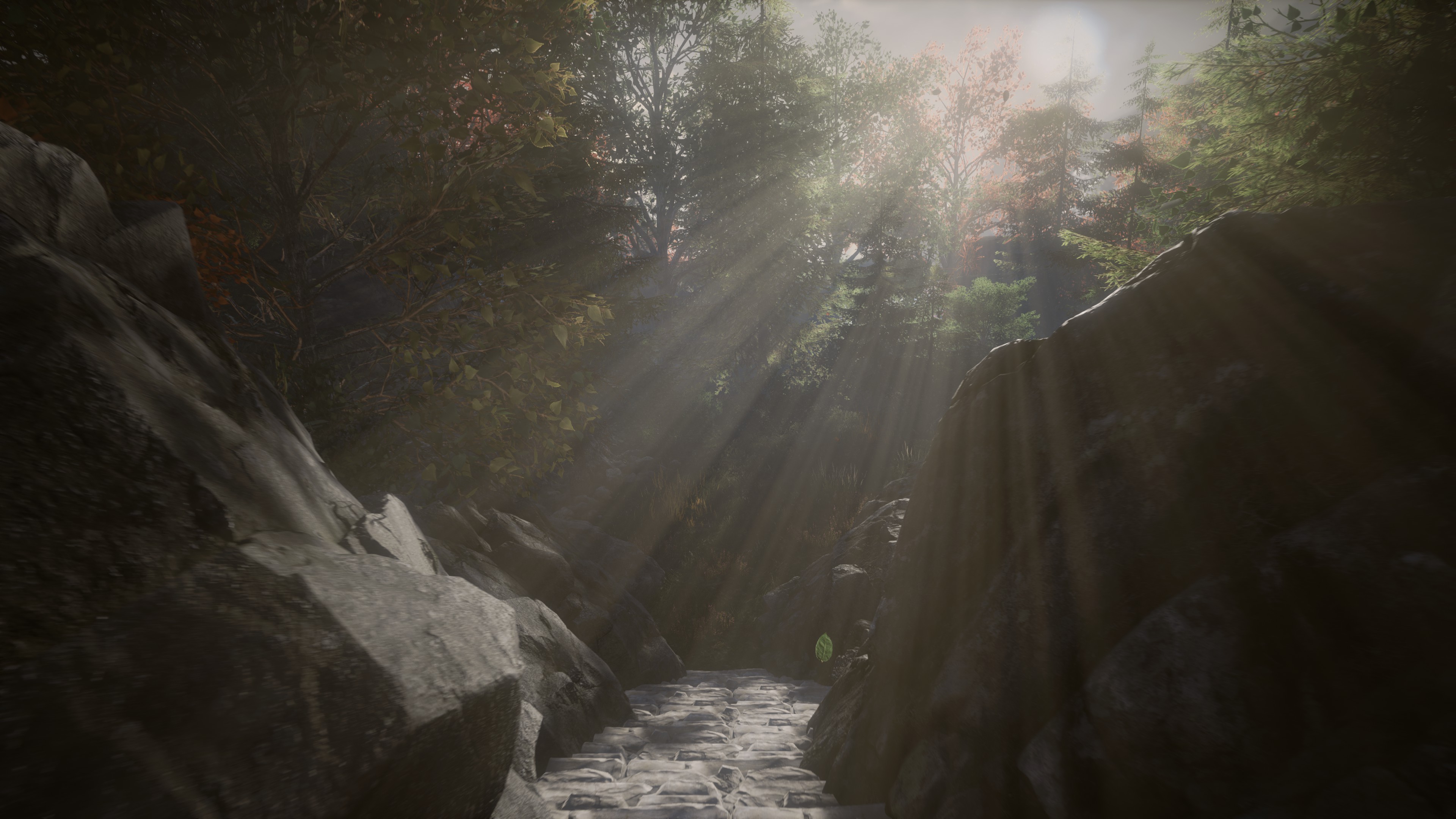 Sunlight streams through trees onto a stone path between large boulders.